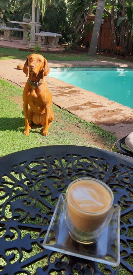 Guest house House Pretoria